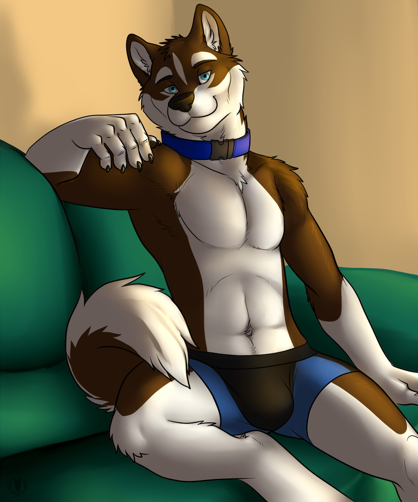 anthro blue_eyes boxers bulge canine collar dog fur male mammal sitting sofa solo underwear vallhund