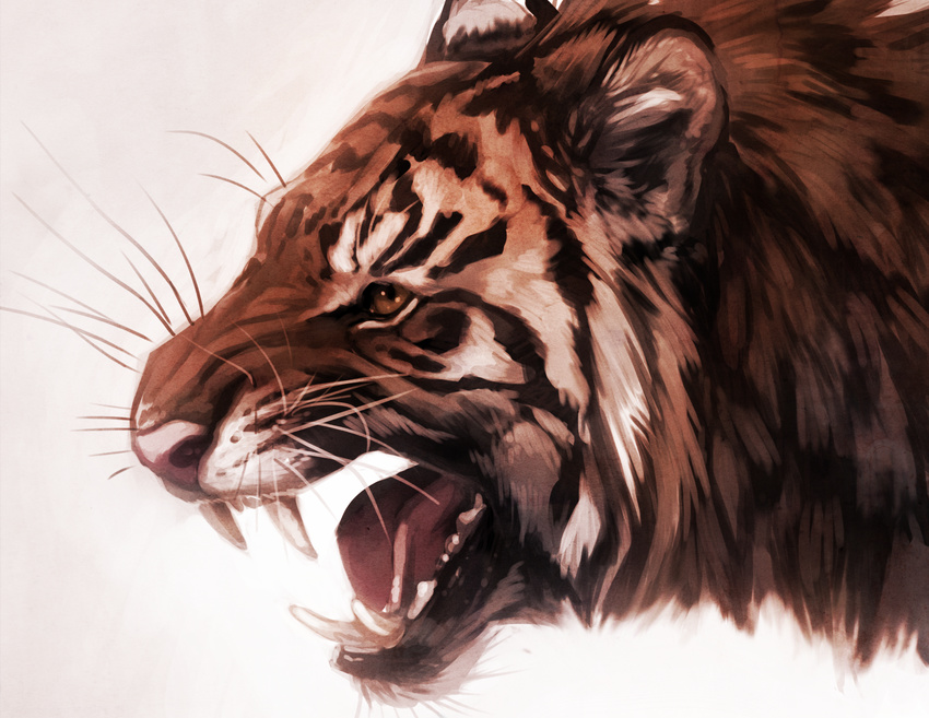 ambiguous_gender blackpassion777 fangs feline mammal open_mouth plain_background portrait roaring solo tiger whiskers