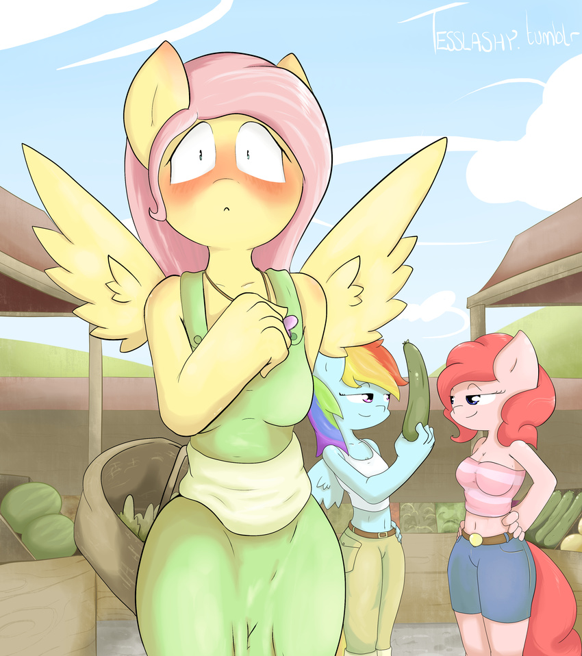 absurd_res anthro anthrofied basket blue_eyes blush clothing cloud cucumber dress equine female fluttershy_(mlp) friendship_is_magic hair hi_res horse mammal multi-colored_hair my_little_pony necklace outside pegasus pink_hair pinkie_pie_(mlp) pony purple_eyes rainbow_dash_(mlp) rainbow_hair shorts sky standing tesslashy watermelon wings