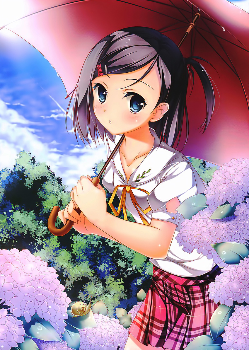 black_hair blue_eyes blush bush cloud cowboy_shot day flower hentai_ouji_to_warawanai_neko. highres holding hydrangea kaho_okashii looking_at_viewer outdoors plaid plaid_skirt plant red_skirt school_uniform skirt sky snail sun sunlight tareme tsutsukakushi_tsukiko umbrella