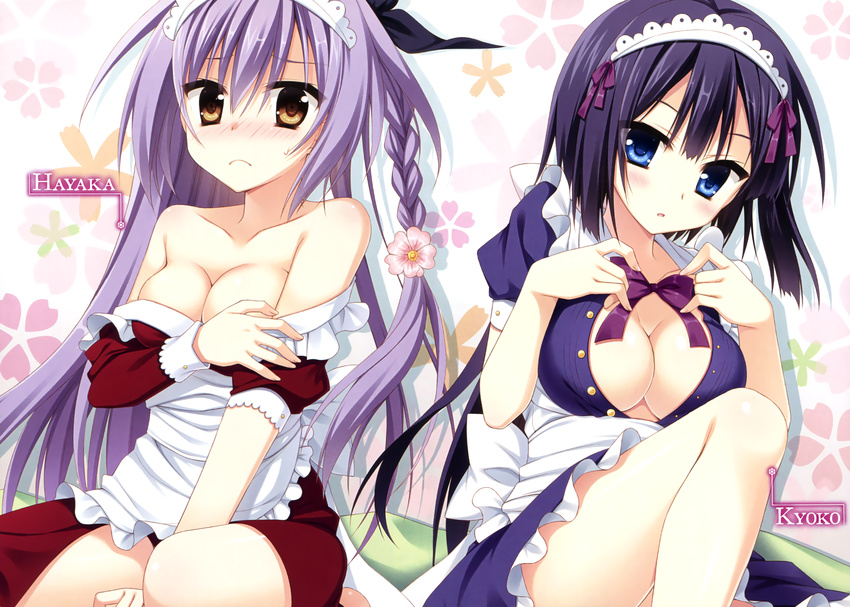 bare_legs baroque_night black_hair blush braid breasts brown_eyes cleavage cowboy_shot dress dress_pull floral_background frown hairband hayaka highres knee_up kyoko_(baroque_night) long_hair looking_at_viewer maid maid_headdress medium_breasts moribe_(rabumanyo) multiple_girls off_shoulder open_clothes open_dress pulled_by_self purple_eyes purple_hair short_hair single_braid sitting tareme twin_braids very_long_hair