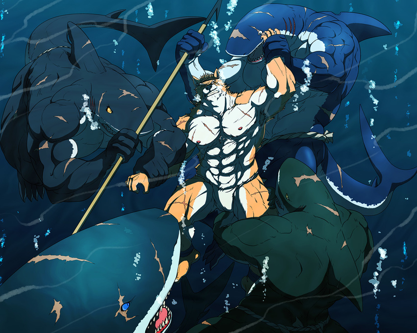 anthro back biceps blue_eyes blue_skin brown_eyes canine dog dorsal_fin fangs fight fin fish fundoshi fur grab green_eyes green_skin grin gripping headband holding interspecies loincloth male mammal marine muscles nipples nude open_mouth orange_eyes pecs polearm pose scales scar scsr shark smile spear swimming teeth toned tongue topless underwater underwear unknown_artist water weapon white_skin yellow_eyes