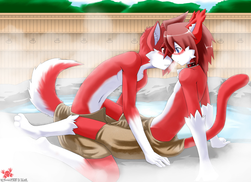 anthro arm_support blue_eyes blush canine cat collar duo eye_contact feline fence fur gay hair hot_spring leaning male mammal multicolor_fur navel red_eyes red_fur red_hair redwolfxlll sitting topless towel tree two_tone_fur visible_breath water watermark white_fur wolf xennie
