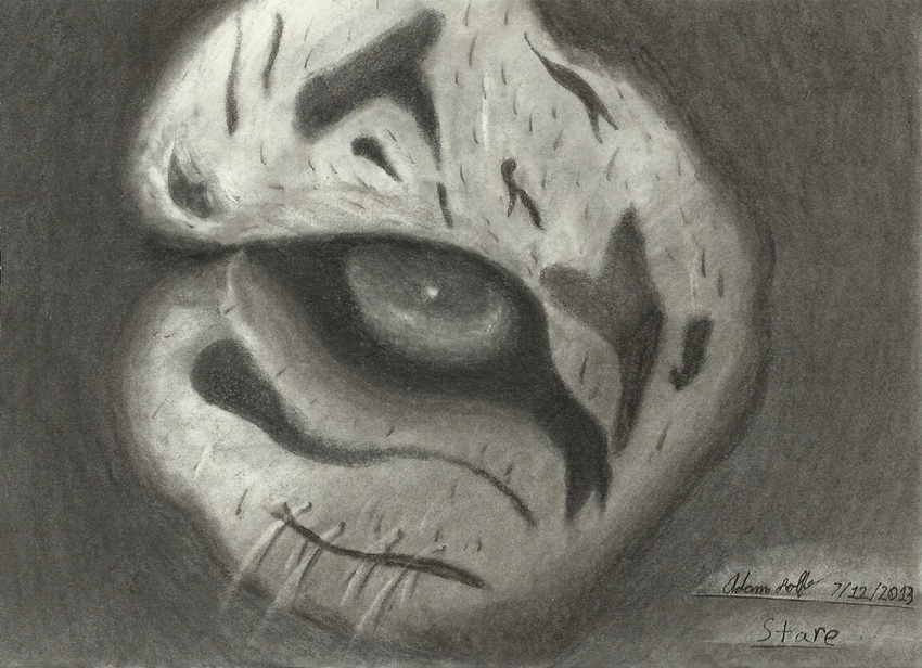 artist_is_recreationbeast charcoal eye feline male mammal recreationbeast tiger