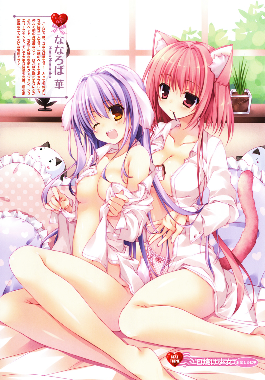 :3 ;d absurdres animal_ears areola_slip areolae bed blush blush_stickers bow bow_panties breasts brush cat_ears cat_tail cleavage collarbone dengeki_moeou dog_ears dog_tail dress_shirt frilled_pillow frills hair_brush heart heart_print highres legs medium_breasts mouth_hold multiple_girls naked_shirt nanaroba_hana no_bra no_panties one_eye_closed open_clothes open_mouth open_shirt panties pillow pink_eyes pink_hair pink_panties plant polka_dot polka_dot_panties potted_plant purple_hair scan shiny shiny_skin shirt sitting smile stuffed_animal stuffed_cat stuffed_toy tail underwear yellow_eyes yokozuwari