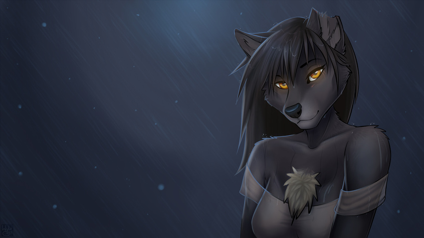 2013 amber_eyes black_fur black_hair black_nose breasts bust canine chest_tuft clothing cute dark_theme female fur hair hi_res long_hair looking_at_viewer mammal night night_sky notched_ear rain shirt sky smile solo torn_ear tuft wallpaper wolf wyla