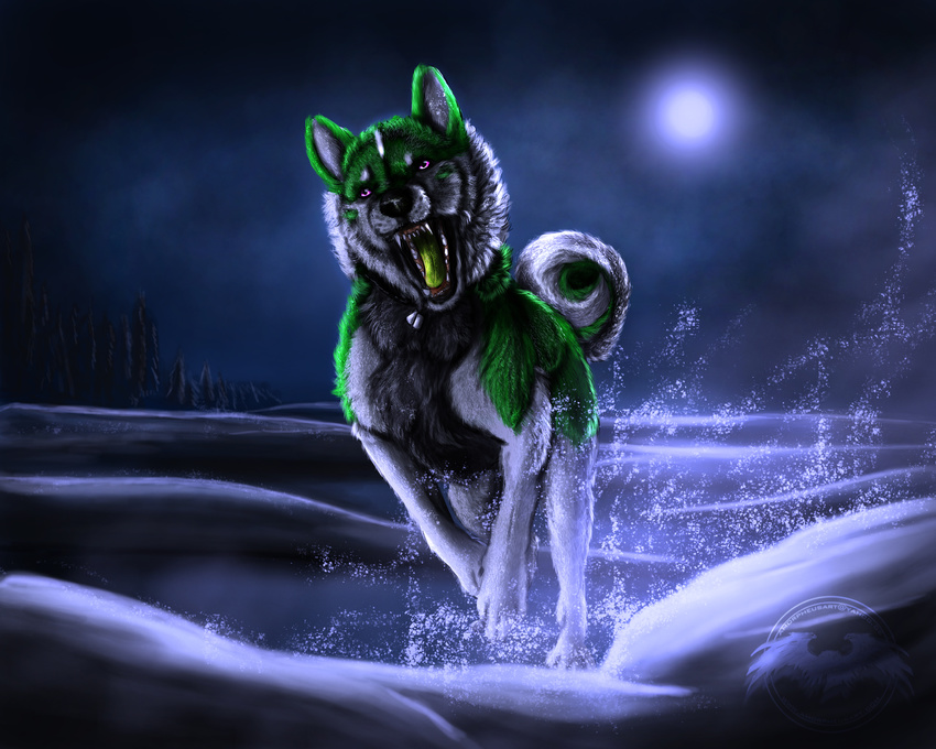 canine detailed fangs feral fur green_fur green_tongue hi_res mammal moon moonlight nature night night_sky open_mouth orphic running sky snow solo splash tree water white_fur