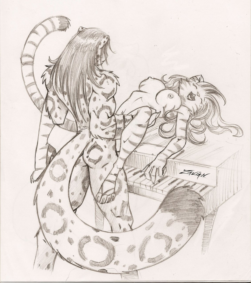 anthro breasts duo eyes_closed feline female interspecies leopard lying male mammal nipples on_back open_mouth penetration sex snow_leopard spread_legs spreading standing straight table_lotus_position tiger vaginal vaginal_penetration zavian