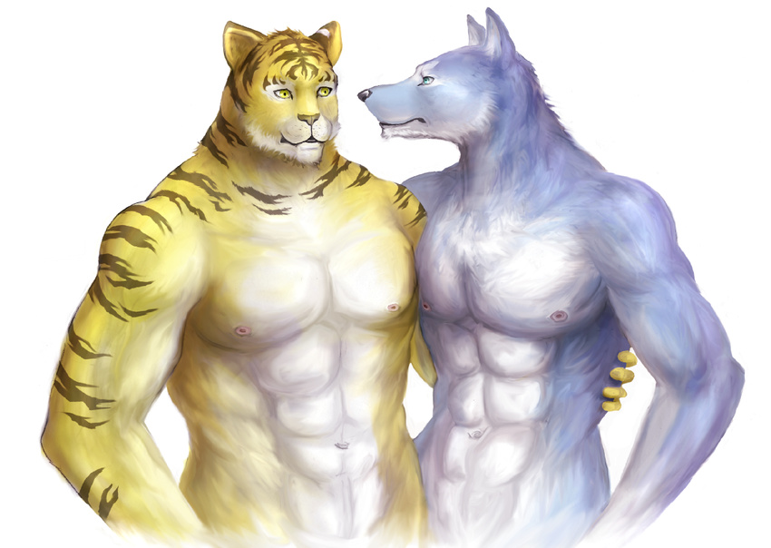 abs anthro biceps big_muscles blue_eyes blue_fur body_markings canine chest_tuft couple duo feline fur gay gripping hachibusanren holding hug interspecies male mammal markings muscles nipples nude pecs plain_background pose standing stripes tiger toned tuft white_background white_fur wolf yellow_eyes yellow_fur