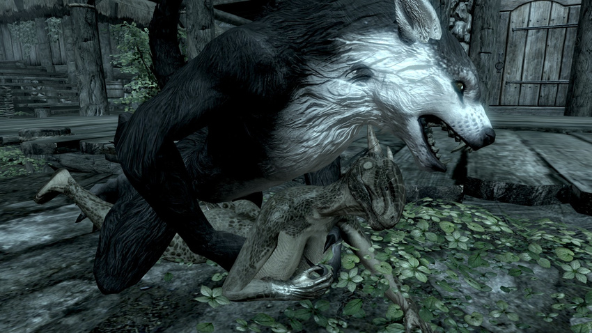 argonian skyrim tagme werewolf