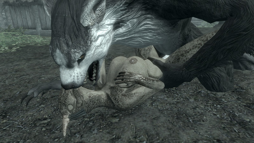 argonian skyrim tagme werewolf