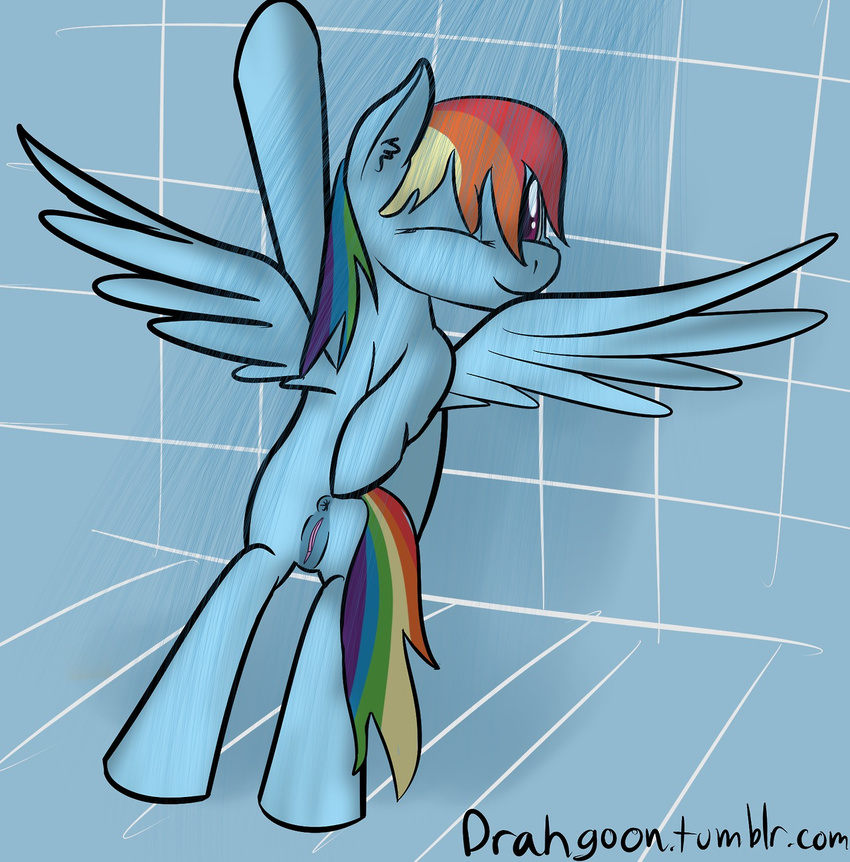 drahgoon friendship_is_magic my_little_pony rainbow_dash tagme