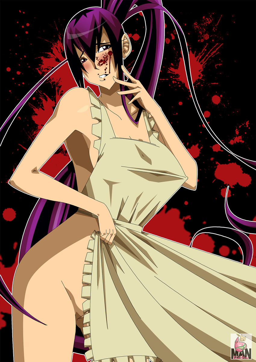 ecchiman highschool_of_the_dead saeko_busujima tagme