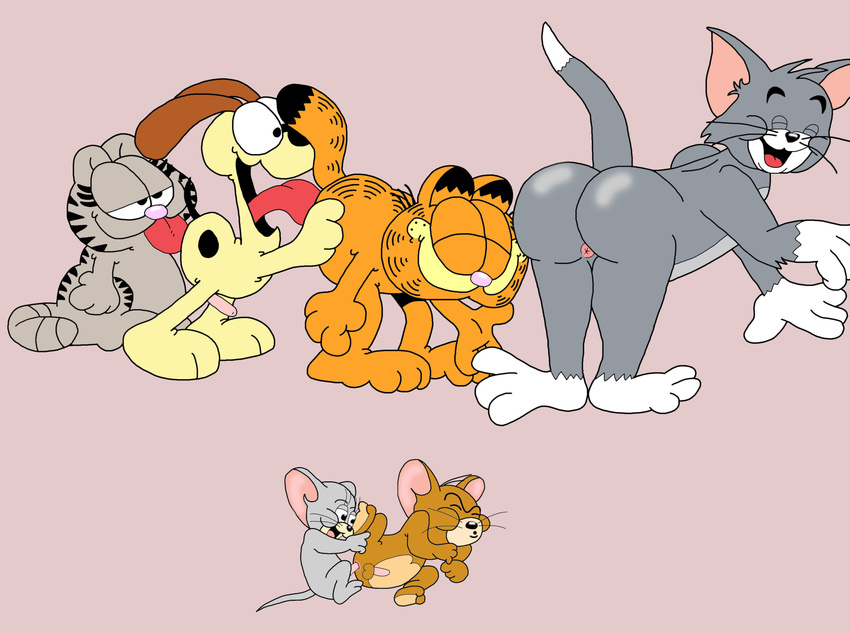 garfield jerry nermal nibbles odie tom tom_and_jerry