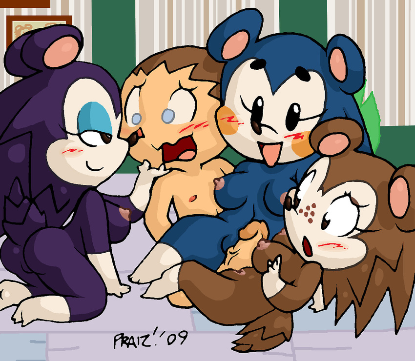 animal_crossing animal_crossing_boy labelle mabel_able praiz sable_able