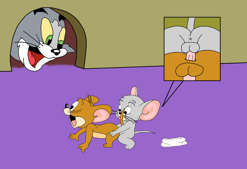jerry nibbles tagme tom tom_and_jerry
