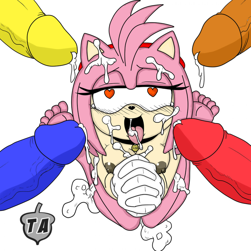 amy_rose jay-triqz knuckles_the_echidna slashysmiley sonic_team sonic_the_hedgehog tails