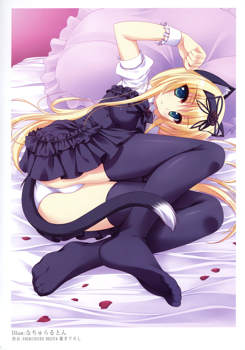 absurdres animal_ears ass bed black_legwear blonde_hair cat_ears cat_tail copyright_request dress feet frilled_pillow frills green_eyes headband highres legs long_hair lying naturalton on_side panties paw_pose petals pillow rose_petals socks soles solo tail thighhighs toes underwear white_panties wristband