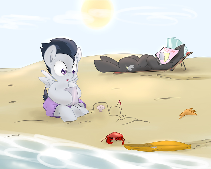 absurd_res arthropod beach blush clothing crab crustacean cub cutie_mark derpy_hooves_(mlp) duo equine feral friendship_is_magic hair hi_res horse kryptchild magazine male mammal marine my_little_pony outside pegasus pony purple_eyes rumble_(mlp) sand_castle sculpture seaside starfish swimsuit thunderlane_(mlp) two_tone_hair water wings young