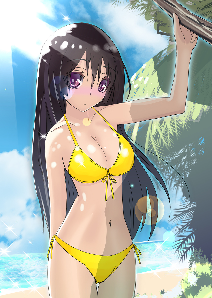 beach bikini black_hair breasts cleavage cloud day highres iwanishi large_breasts lens_flare light_rays long_hair navel original outdoors purple_eyes shiny shiny_skin sky solo sunbeam sunlight swimsuit thigh_gap