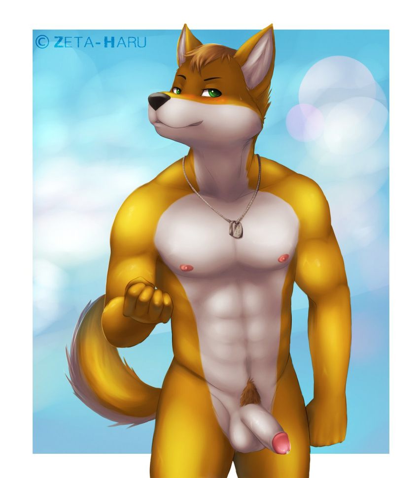 abs anthro balls beach biceps big_muscles black_nose canine dog dog_tags erection front fur green_eyes hair husky invalid_color leaking lifeguard looking_at_viewer male mammal muscles nipples nude orange_body orange_hair pecs penis pink_nipples pose precum presenting pubes seaside solo standing summer sweat vein zeta-haru