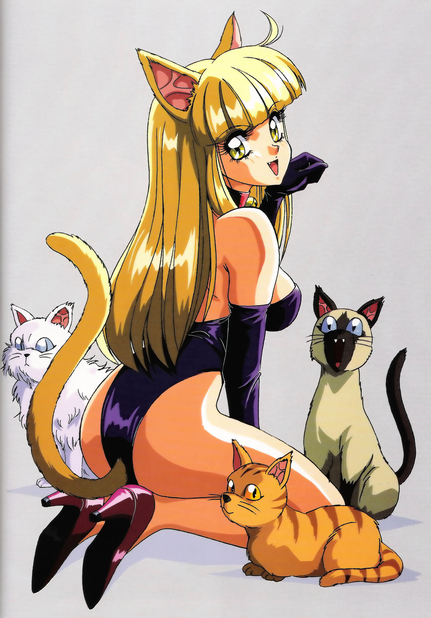 80s animal_ears ass blonde_hair cat cat_ears cat_tail elbow_gloves gloves heels high_heels highres mon-mon_(miyazaki_kenjin) nekomimi official_art oldschool tail