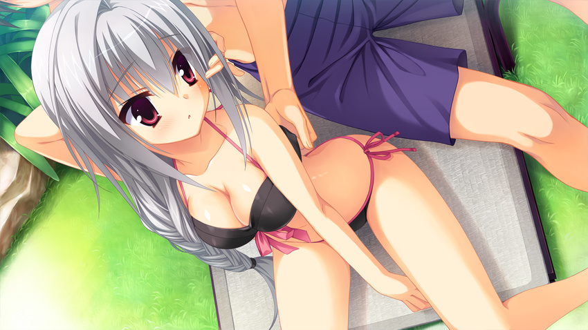 bikini cleavage dracu-riot! elina_olegovna_owen game_cg gray_hair kobuichi long_hair swimsuit yuzusoft