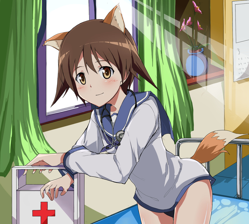 animal_ears bad_id bad_pixiv_id blush brown_eyes brown_hair calendar_(object) curtains first_aid_kit flower indoors leaning_forward looking_at_viewer miyafuji_yoshika red_cross short_hair solo stethoscope strike_witches suisen_toire_(moko924) sunlight swimsuit swimsuit_under_clothes tail uniform vase window world_witches_series