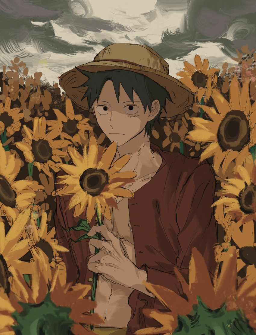 1boy absurdres black_eyes black_hair blank_stare closed_mouth field flower flower_field grey_sky hat highres holding holding_flower long_sleeves looking_at_viewer male_focus monkey_d._luffy nhi one_piece open_clothes open_shirt overcast pectoral_cleavage pectorals red_shirt sash scar scar_on_cheek scar_on_chest scar_on_face shirt short_hair sky solo straw_hat sunflower sunflower_field yellow_sash