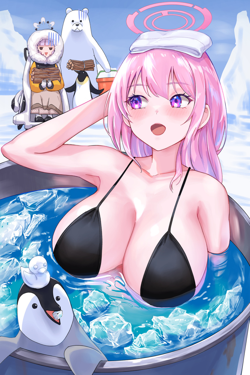 2girls animal armpits bare_arms bare_shoulders bear bikini bird black_bikini blue_archive blush breasts cleavage collarbone day eimi_(blue_archive) eimi_(swimsuit)_(blue_archive) fur-trimmed_jacket fur_trim grey_hair grey_halo hair_between_eyes halo highres himari_(blue_archive) hood hood_up hooded_jacket ice jacket large_breasts long_hair multiple_girls noomaru_(nomorepeople) official_alternate_costume open_mouth outdoors penguin pink_eyes pink_hair pink_halo polar_bear powered_wheelchair sitting swimsuit towel towel_on_head water wheelchair white_towel yellow_jacket