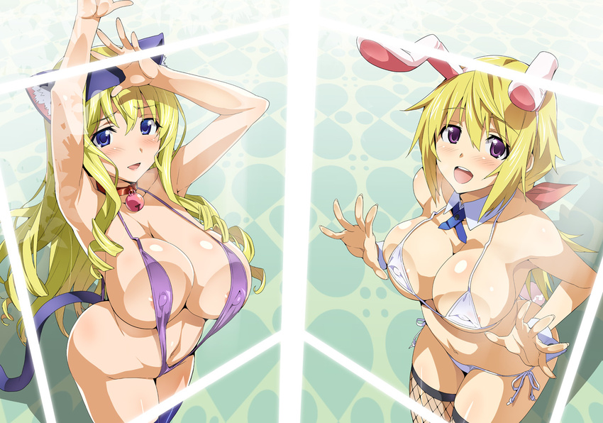 against_glass animal_ears areola_slip areolae bell bell_collar bikini blonde_hair blue_eyes blue_hairband blush breasts bunny_ears cat_ears cat_tail cecilia_alcott charlotte_dunois cleavage collar cover covered_nipples detached_collar drill_hair fake_animal_ears fake_tail fishnet_legwear fishnets hair_ribbon hairband hands infinite_stratos large_breasts long_hair multiple_girls navel open_mouth palms ponytail purple_bikini purple_eyes ribbon side-tie_bikini slingshot_swimsuit smile swimsuit tail takeda_hiromitsu thighhighs white_bikini wrist_cuffs