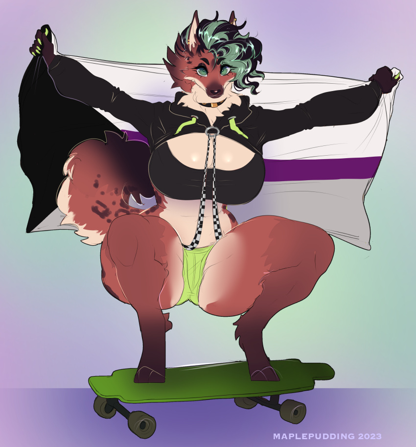 absurd_res anthro black_body black_fur black_nose bottomwear bra clothing collar colored_nails crouching demisexual_pride_colors ear_piercing female flag fur green_eyes green_hair hair hi_res hoodie hyena leg_tuft lgbt_pride longboard looking_at_viewer mammal maplepudding nails piercing pride_colors reyva shorts solo spots spotted_body spotted_fur tail topwear tuft underwear