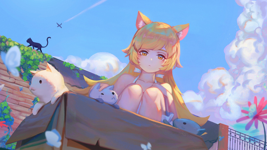 1girl absurdres animal_ear_fluff animal_ears bare_shoulders blonde_hair box brick_wall cardboard_box cat cat_ears cloud commentary_request day dress flower gate highres long_hair looking_at_animal monogatari_(series) oshino_shinobu outdoors petting red_flower squatting white_dress wuqing_yanhui_gang yellow_eyes