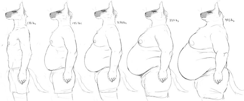 anthro belly big_belly bulge cettus clothed clothing domestic_cat felid feline felis hi_res karras_lafontaine male mammal moobs morbidly_obese morbidly_obese_male obese obese_male overweight overweight_male sequence siamese skimpy solo thick_thighs underwear weight_gain