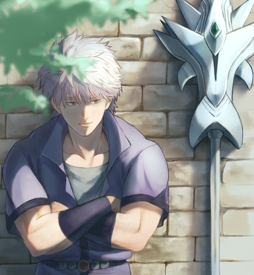 1boy arm_guards b-saku blurry brick_wall closed_mouth crossed_arms day depth_of_field dragon_quest dragon_quest_dai_no_daibouken grey_hair highres hyunkel jacket male_focus outdoors polearm purple_jacket short_hair short_sleeves sideways_glance solo spear toned toned_male weapon white_hair