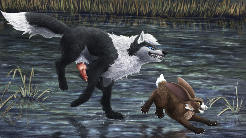 animal_genitalia canid canine canis darknessisaisha duo erection female feral genitals grin harassment hi_res hunting lagomorph leporid male male/female mammal morena_(nightdancer) nightdancer_(character) pursuit rabbit running size_difference smile water wolf