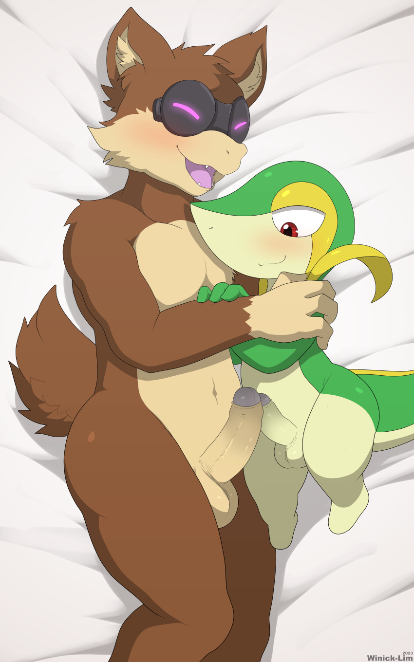 2024 absurd_res anthro anthro_on_feral ball_size_difference balls bed bed_sheet bedding bestiality blush brown_body brown_fur closed_smile crossover duo embrace erection eyes_closed facial_tuft fangs feral frottage fur furniture generation_5_pokemon genitals glowing glowing_eyes green_body green_scales gremlin_(spiral_knights) half-closed_eyes hi_res humanoid_genitalia humanoid_penis looking_at_genitalia looking_at_penis looking_down looking_down_at_penis lying male male/male mammal mouth_closed multicolored_body multicolored_fur multicolored_scales narrowed_eyes navel nintendo nude on_bed on_side open_mouth open_smile penile penis penis_size_difference penises_touching pokemon pokemon_(species) purple_eyes red_eyes reptile scales scalie sex short_tail side_butt size_difference smile snivy spiral_knights tail tan_body tan_fur teeth tongue two_tone_body two_tone_fur white_body white_scales winick-lim yellow_body yellow_scales