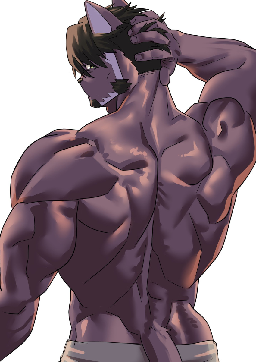 anthro back_muscles black_hair clothed clothing domestic_cat facial_hair felid feline felis fur hair hi_res lifewonders live_a_hero male mammal mature_male muscular muscular_anthro natsunouro purple_body purple_fur rear_view simple_background solo topless tsuneaki white_background