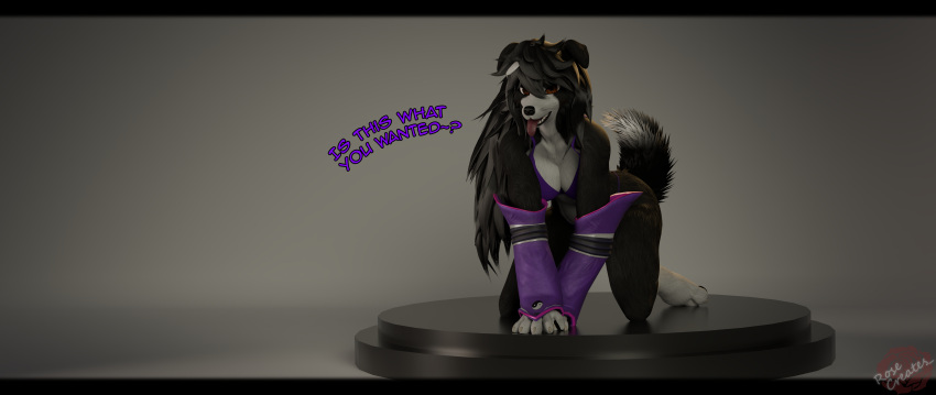 21:9 3d_(artwork) 4k absurd_res all_fours anthro bandai_namco biped blender_(software) border_collie bottomwear breast_tattoo breasts canid canine canis clothed clothing collie digimon digital_media_(artwork) domestic_dog female gloves hair handwear herding_dog hi_res kneeling looking_at_viewer mammal open_mouth pastoral_dog rosa_bursyoji rosecreates sheepdog simple_background smile solo tail tattoo text tongue topwear