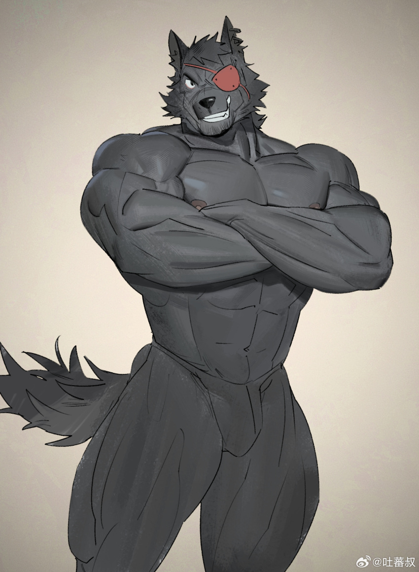 1boy abs animal_ears bara beard_stubble bulge crossed_arms eyepatch facial_hair feet_out_of_frame furry furry_male grey_fur grey_theme grin highres large_pectorals looking_at_viewer male_focus mature_male muscular muscular_male navel nipples original pectorals short_hair smile solo standing stomach stubble tail thick_eyebrows thick_thighs thighs tooboshoo topless_male wolf_boy wolf_ears wolf_tail