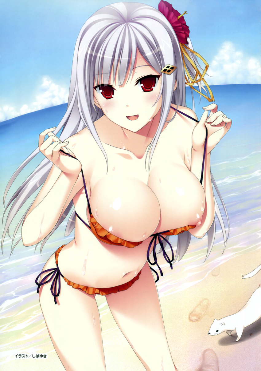 absurdres animal areola_slip areolae beach bikini blush breasts cleavage cloud collarbone copyright_request day flower footprints hair_flower hair_ornament hibiscus highres large_breasts long_hair looking_at_viewer navel nipple_slip nipples ocean open_mouth outdoors red_bikini red_eyes sand shibayuki side-tie_bikini silver_hair sky smile solo swimsuit swimsuit_pull water wet