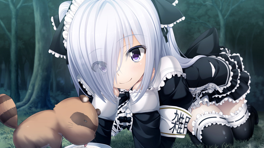 gleam_garden_no_shoujo goth-loli shirayuki_(gleam_garden_no_shoujo) tagme white_hair