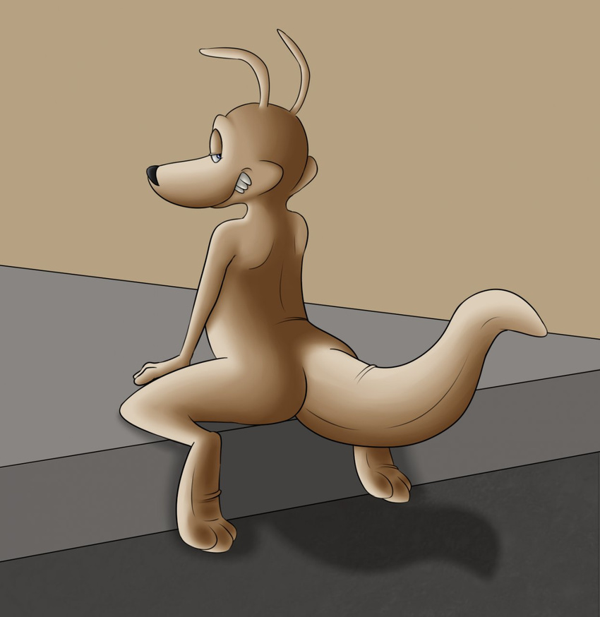 anthro butt fur looking_at_viewer looking_back male mammal marsupial nude plain_background rocko rocko's_modern_life rocko's_modern_life rotten_robbie solo teeth wallaby