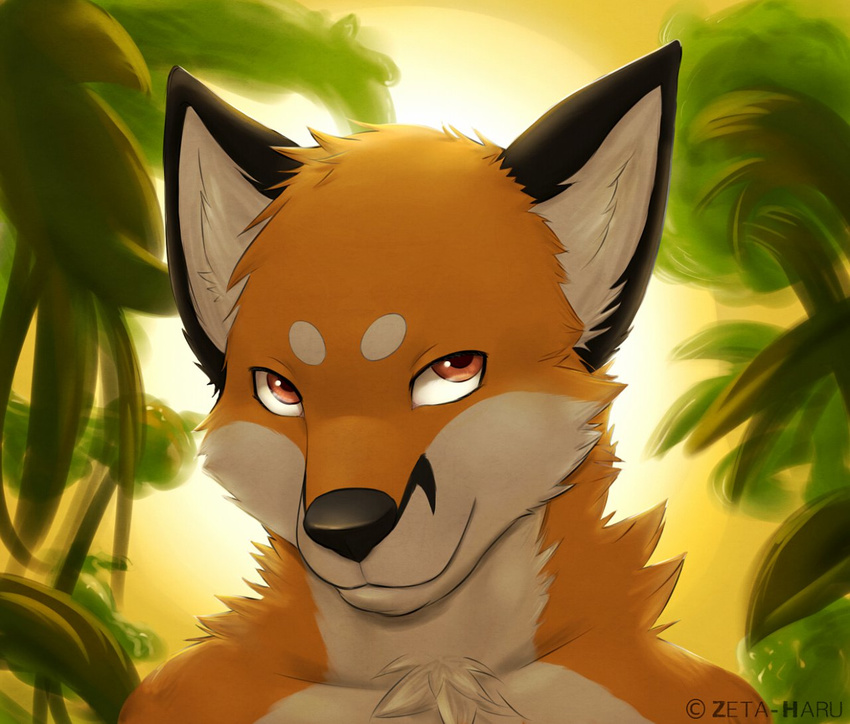 afternoon anthro black_nose brown_eyes canine fox fur jungle looking_up male mammal orange_fur outside solo spots sunlight sunset tree white_fur zeta-haru