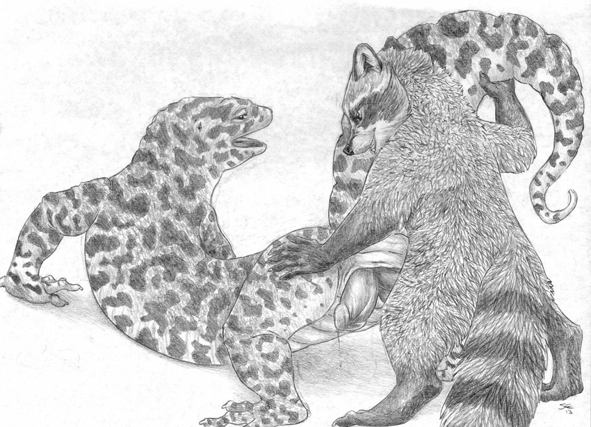cloaca feral feral_on_feral from_behind gay gecko greyscale hemipenes interspecies lizard looking_back male mammal monochrome multi_cock nude penetration penis plain_background raccoon reptile sabretoothed_ermine scalie sex sketch
