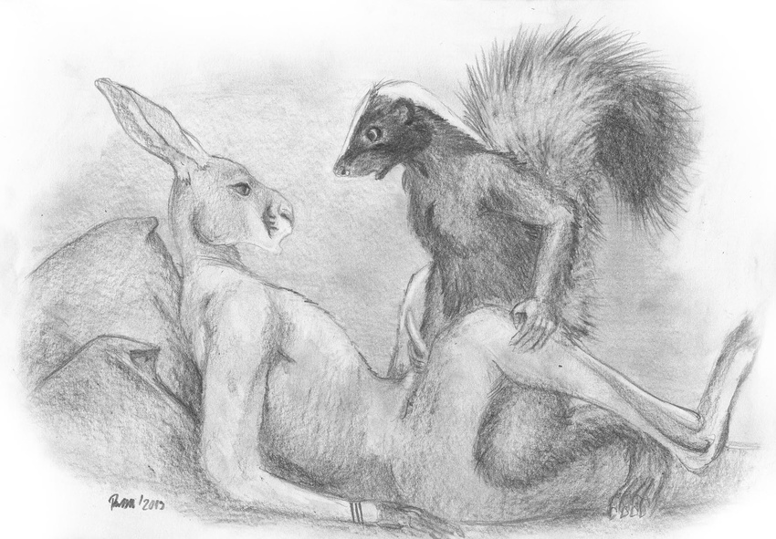 foxia gay kangaroo male mammal marsupial penis sex skunk small_penis