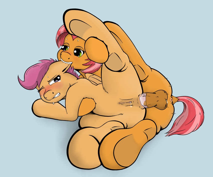 anal_penetration anus babs_seed_(mlp) balls blue_background blush brown_fur cub dashaloo dickgirl duo ear_biting equine female feral friendship_is_magic fur green_eyes hair horse intersex lying mammal my_little_pony on_side orange_fur pegasus penetration penis plain_background pony purple_hair pussy scootaloo_(mlp) sex sweat two_tone_hair wings young