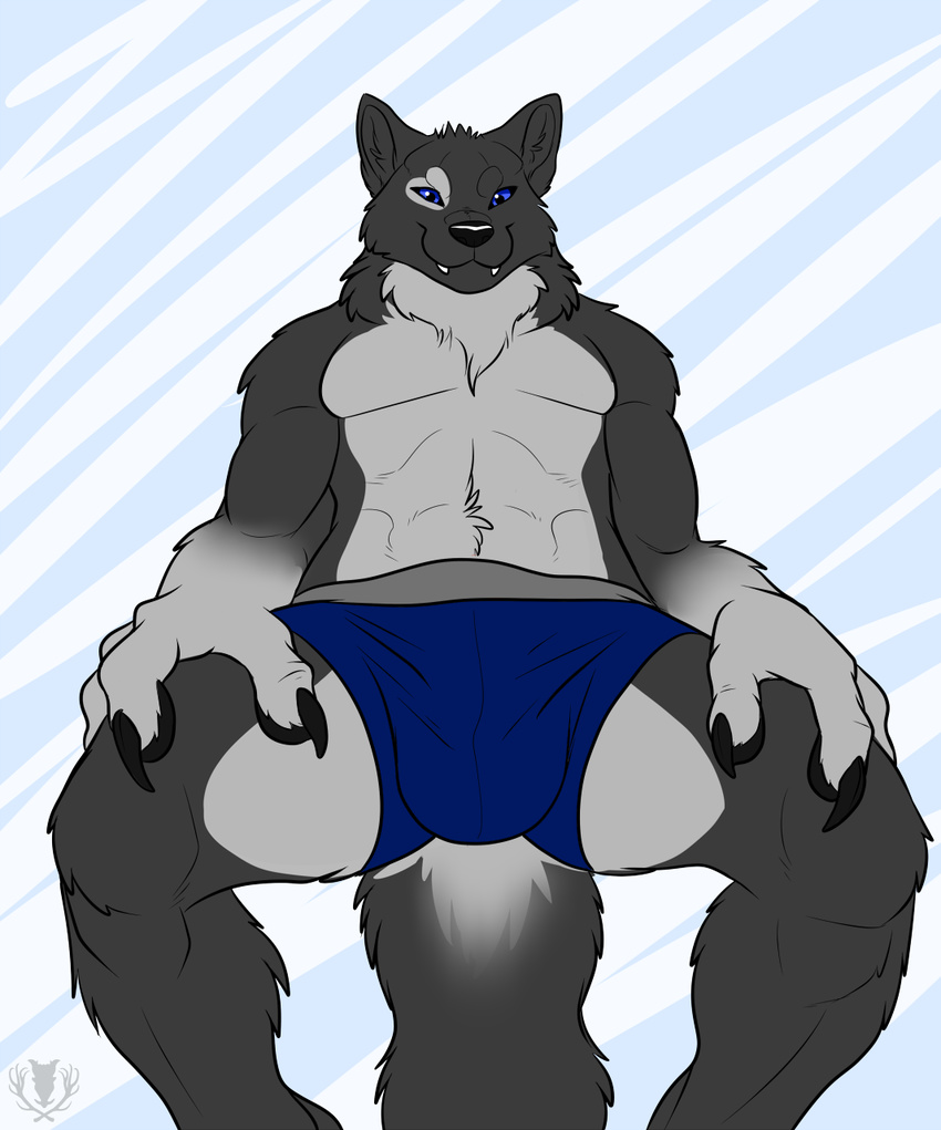 anthro biceps big_muscles blue_eyes bulge canine fangs fur grey_fur male mammal muscles paws smile solo vallhund wolf