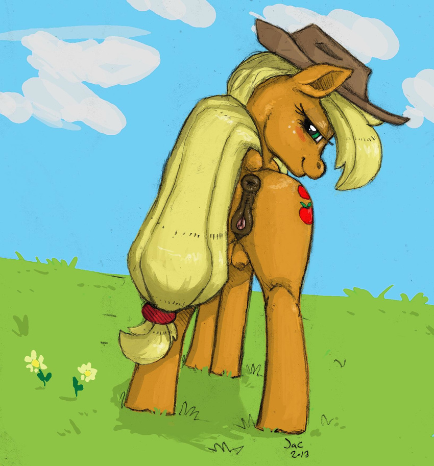 anatomically_correct anatomically_correct_pussy animal_genitalia anus applejack_(mlp) blonde_hair blush butt cloud clouds cowboy_hat cutie_mark earth_pony equine equine_pussy female feral flower freckles friendship_is_magic from_behind fur grass green_eyes hair hat hi_res horse jac looking_at_viewer looking_back mammal my_little_pony orange_fur outside pony puffy_anus pussy signature smile solo teats vaginal_winking