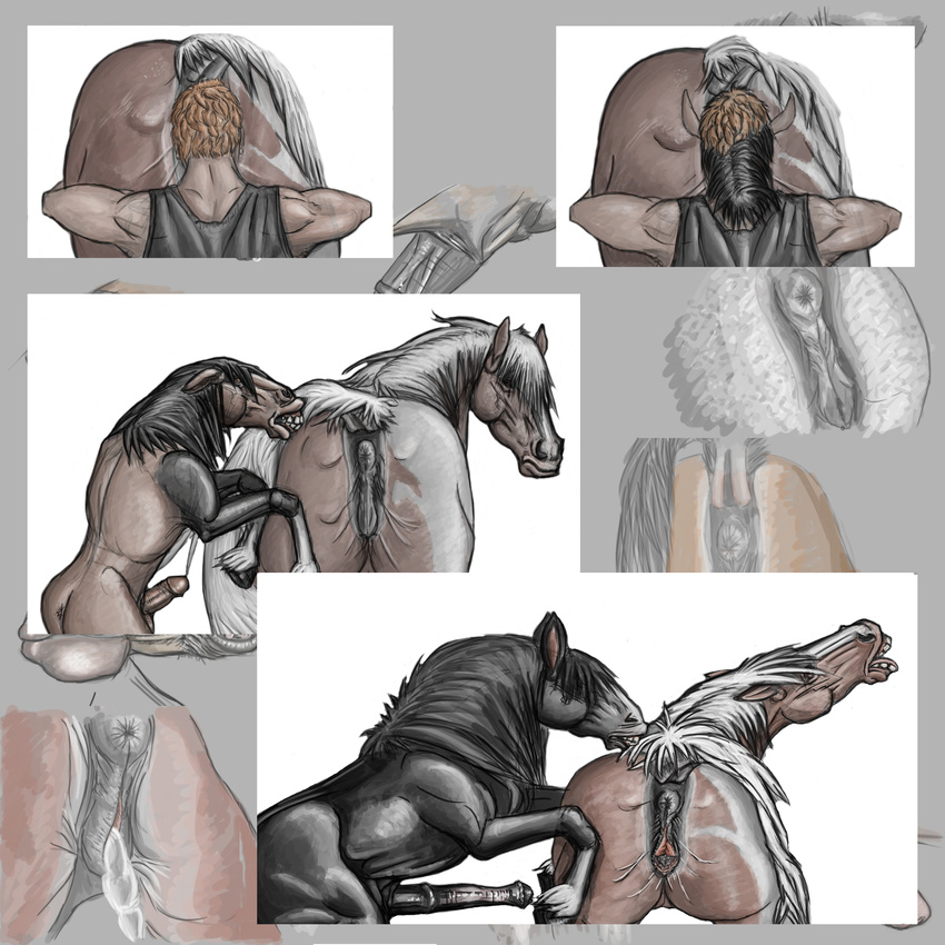 equine female feral gdane horse horse_vulva horsecock human humanoid_penis male mammal penis pussy straight transformation what